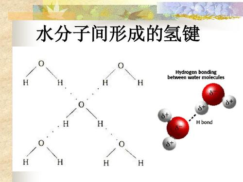 氢键是什么作用力