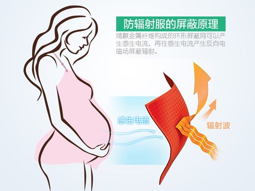 孕妇防辐射的相关图片